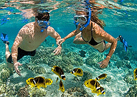 Malindi City Tours 1 Day Trips Safaris