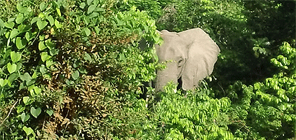 Shimba Hills National Reserve 2 Days 1 Night Mombasa Safari Shimba Hills National Reserve 2 Days 1 Night Mombasa Safari