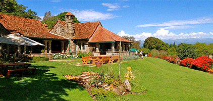 1 Night Safari Aberdare Country Club Ark Tree Lodge Tour 1 Night Safari Aberdare Country Club Ark Tree Lodge Tour