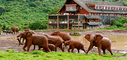 Aberdare National Park Safari 2 Days 1 Night Tour Aberdare National Park Safari 2 Days 1 Night Tour