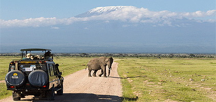 Amboseli National Park Safari 2 Days 1 Night Tour Amboseli National Park Safari 2 Days 1 Night Tour
