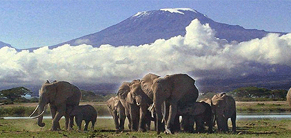 Amboseli National Park Safari 2 Days 1 Night Tour Amboseli National Park Safari 2 Days 1 Night Tour