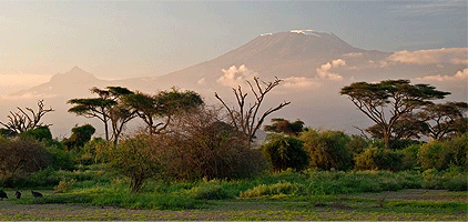Climb Mount Kilimanjaro 7 Days Lemosho Route Hike Climb Mount Kilimanjaro 7 Days Lemosho Route Hike