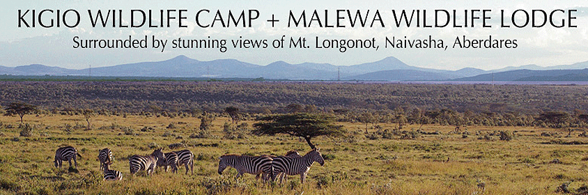 2 Days 1 Night Naivasha Kigio Wildlife Conservancy Tour 2 Days 1 Night Naivasha Kigio Wildlife Conservancy Tour