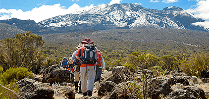 Mount Kilimanjaro Climbing 8 Days Lemosho Route Hike Mount Kilimanjaro Climbing 8 Days Lemosho Route Hike