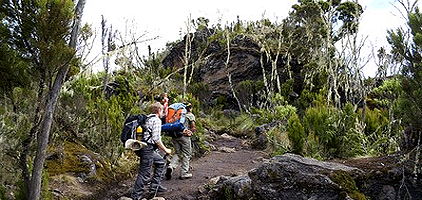 6 Day Mount Kilimanjaro Climb Machame Route Hike 6 Day Mount Kilimanjaro Climb Machame Route Hike