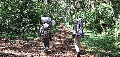 6 Days Climbing Mount Kilimanjaro Umbwe Route 6 Days Climbing Mount Kilimanjaro Umbwe Route