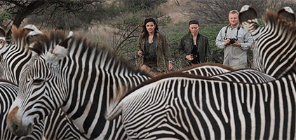 Lewa Downs Wildlife Conservancy 2 Days 1 Night Flying Safari Lewa Downs Wildlife Conservancy 2 Days 1 Night Flying Safari