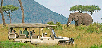 2 Days Mombasa Masai Mara Luxury Flying Safari 2 Days Mombasa Masai Mara Luxury Flying Safari