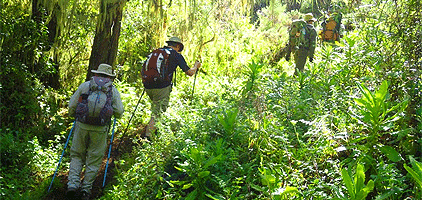 Mount Kilimanjaro Climbing 5 Days Hike Tanzania Mount Kilimanjaro Climbing 5 Days Hike Tanzania