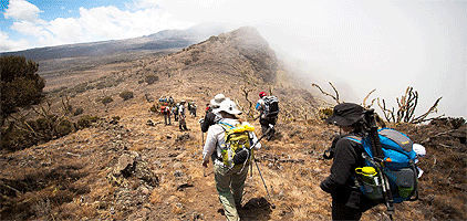 Mount Kilimanjaro Climbing 6 Days Shira Route Hike Mount Kilimanjaro Climbing 6 Days Shira Route Hike