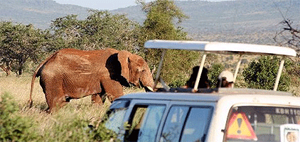 Tsavo East Park Taita Hills Sanctuary 2 Days 1 Night Safari Tsavo East Park Taita Hills Sanctuary 2 Days 1 Night Safari