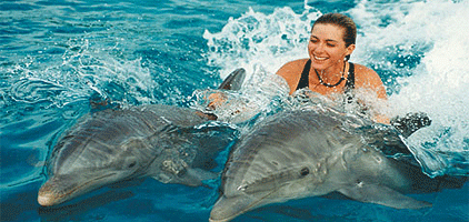 Zanzibar Honeymoon Holiday 3 Days/ 2 Nights Package Zanzibar Honeymoon Holiday 3 Days/ 2 Nights Package