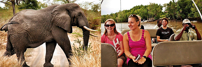 2 Days 1 Night Saadani National Park Flying Safari 2 Days 1 Night Saadani National Park Flying Safari