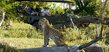 3 Days 2 Nights Meru National Park Road Safari 3 Days 2 Nights Meru National Park Road Safari