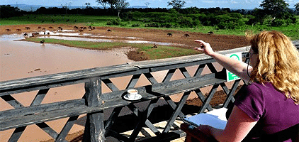 3 Days 2 Nights Aberdare National Park Sweetwaters Safari 3 Days 2 Nights Aberdare National Park Sweetwaters Safari