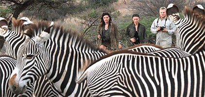 Lewa Downs Wildlife Conservancy 3 Days 2 Nights Safari Lewa Downs Wildlife Conservancy 3 Days 2 Nights Safari