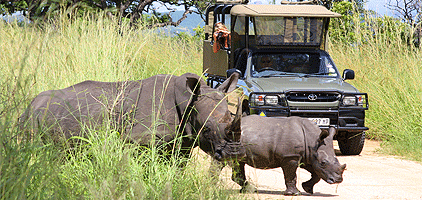 4 Days Amboseli Tsavo West National Park Safari 4 Days Amboseli Tsavo West National Park Safari