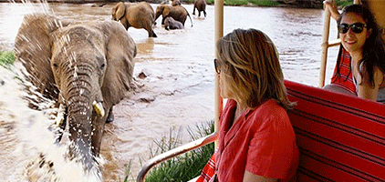 4 Days 3 Nights Samburu Game Reserve Lake Nakuru Safari 4 Days 3 Nights Samburu Game Reserve Lake Nakuru Safari