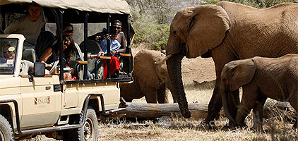 4 Day Aberdare National Park Samburu Game Park Safari 4 Day Aberdare National Park Samburu Game Park Safari