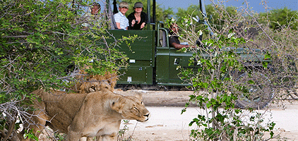 4 Days Amboseli Tsavo West National Park Safari 4 Days Amboseli Tsavo West National Park Safari