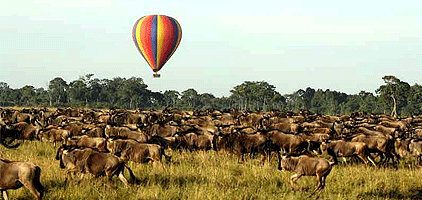 Masai Mara Lake Nakuru Safari 4 Days 3 Nights Tour Masai Mara Lake Nakuru Safari 4 Days 3 Nights Tour