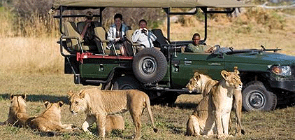 5 Day Kenya Safari Lake Nakuru Naivasha Masai Mara Tour 5 Day Kenya Safari Lake Nakuru Naivasha Masai Mara Tour