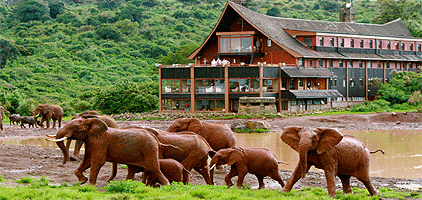 5 Day Kenya Safari Aberdare Lake Nakuru Masai Mara Tour 5 Day Kenya Safari Aberdare Lake Nakuru Masai Mara Tour