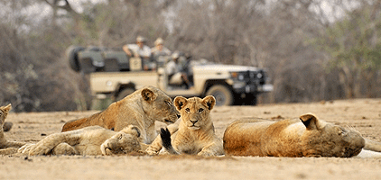 5 Day Kenya Safari Aberdare Samburu Meru National Park 5 Day Kenya Safari Aberdare Samburu Meru National Park