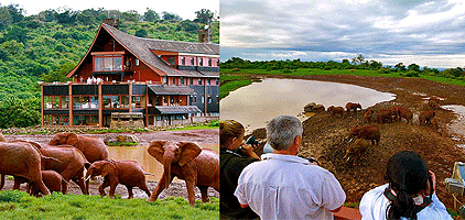 4 Day Aberdare National Park Samburu Game Park Safari 4 Day Aberdare National Park Samburu Game Park Safari