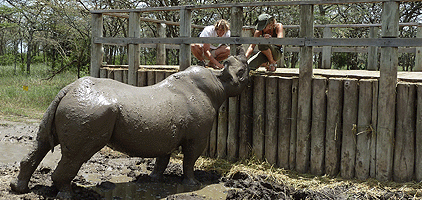 3 Days 2 Nights Aberdare National Park Sweetwaters Safari 3 Days 2 Nights Aberdare National Park Sweetwaters Safari