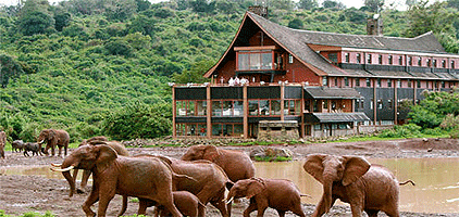 3 Days 2 Nights Ark Aberdare Country Club Safari Holiday 3 Days 2 Nights Ark Aberdare Country Club Safari Holiday