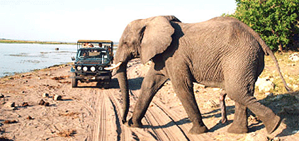 Kenya Safari Samburu Game Reserve 4 Days 3 Nights Kenya Safari Samburu Game Reserve 4 Days 3 Nights