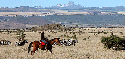 4 Day Kenya Road Safari Lewa Downs Wildlife Conservancy 4 Day Kenya Road Safari Lewa Downs Wildlife Conservancy