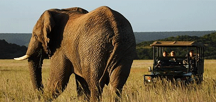 2 Days Lake Manyara National Park Luxury Flying Safari 2 Days Lake Manyara National Park Luxury Flying Safari