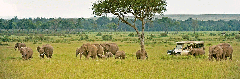 Masai Mara Game Reserve 3 Days 2 Nights Road Safari Masai Mara Game Reserve 3 Days 2 Nights Road Safari