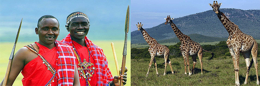 5 Days 4 Nights Kenya Safari Masai Mara Lake Nakuru Tour 5 Days 4 Nights Kenya Safari Masai Mara Lake Nakuru Tour