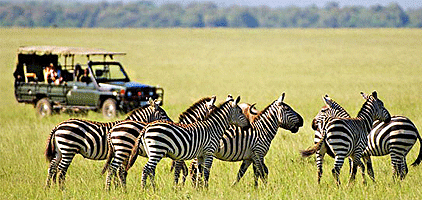 Masai Mara Lake Nakuru Safari 4 Days 3 Nights Tour Masai Mara Lake Nakuru Safari 4 Days 3 Nights Tour