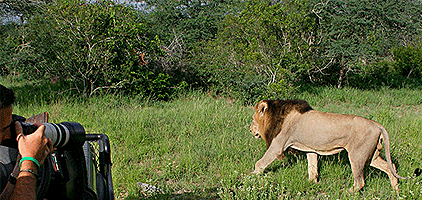 Meru National Park 2 Days 1 Night Luxury Flying Safari Meru National Park 2 Days 1 Night Luxury Flying Safari