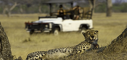 Meru National Park 2 Days 1 Night Luxury Flying Safari Meru National Park 2 Days 1 Night Luxury Flying Safari