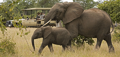 Tsavo West National Park Mombasa Safari 3 Days 2 Nights Tsavo West National Park Mombasa Safari 3 Days 2 Nights
