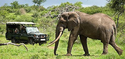 Mombasa Safari Tsavo West Amboseli 3 Days 2 Nights Mombasa Safari Tsavo West Amboseli 3 Days 2 Nights