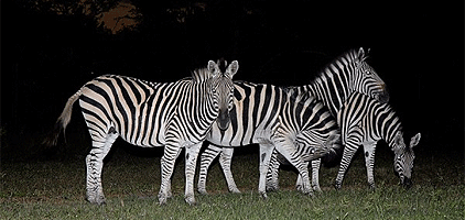 4 Days 3 Nights Naivasha Mount Longonot Lodge Holiday 4 Days 3 Nights Naivasha Mount Longonot Lodge Holiday