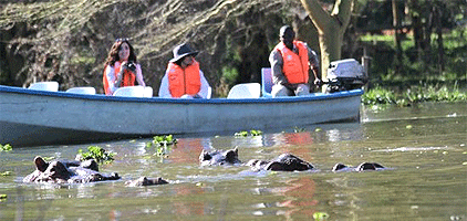 Kenya Safari Lake Naivasha Masai Mara 4 Days 3 Nights Kenya Safari Lake Naivasha Masai Mara 4 Days 3 Nights