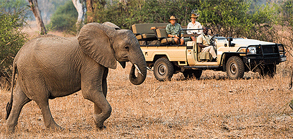 Samburu Game Reserve Road Safari 3 Days 2 Nights Tour Samburu Game Reserve Road Safari 3 Days 2 Nights Tour