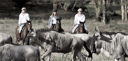 Sanctuary Farm Lake Naivasha 3 Days 2 Nights Tour Sanctuary Farm Lake Naivasha 3 Days 2 Nights Tour