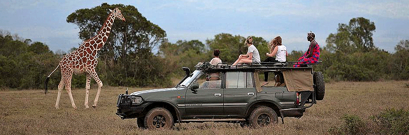 4 Day Sangare Conservancy Aberdare Kenya Safari Holiday 4 Day Sangare Conservancy Aberdare Kenya Safari Holiday