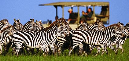 3 Days 2 Nights Safari Shompole Group Ranch Magadi 3 Days 2 Nights Safari Shompole Group Ranch Magadi