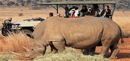 3 Day Sweetwaters Olpejeta Game Sanctuary Kenya Safari 3 Day Sweetwaters Olpejeta Game Sanctuary Kenya Safari