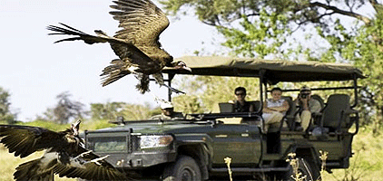 3 Days Mombasa Safari Taita Hills Sanctuary Tsavo West 3 Days Mombasa Safari Taita Hills Sanctuary Tsavo West